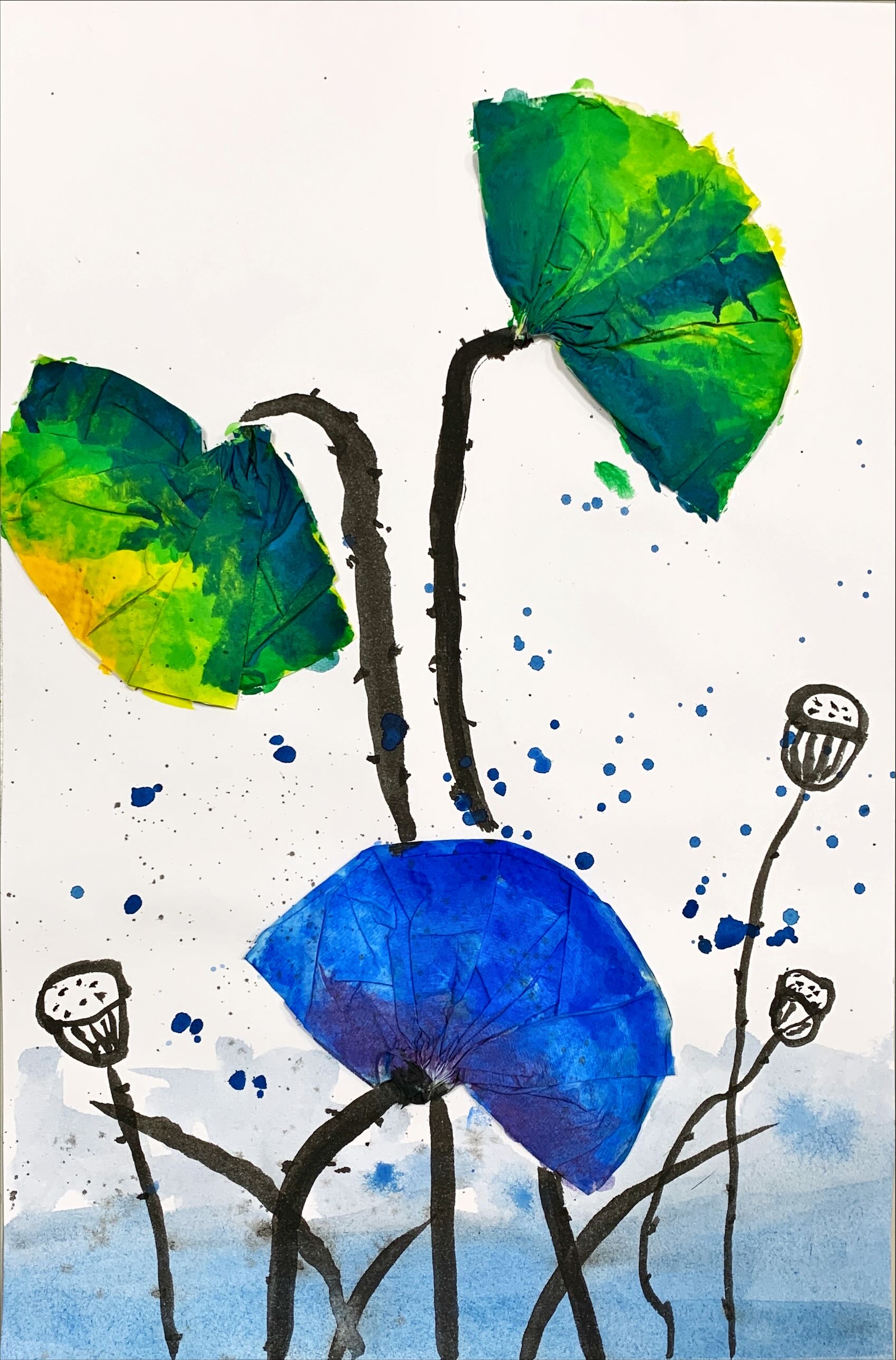 小昇-荷葉蓮田田